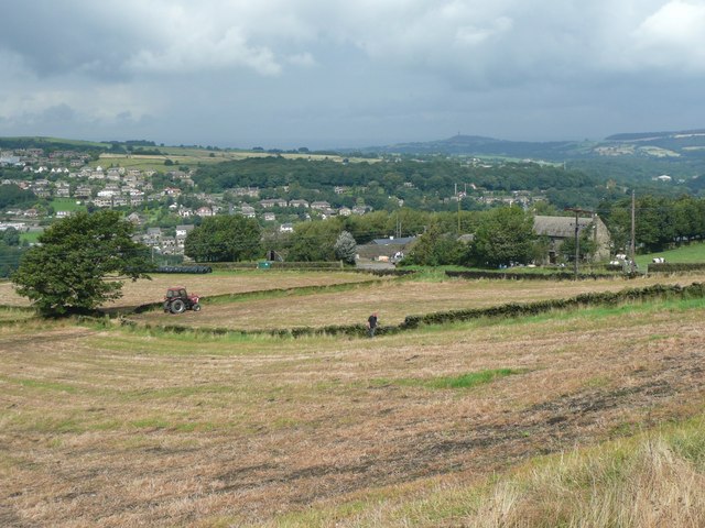 Fields at Nether Hill House, Cartworth