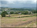 Fields at Nether Hill House, Cartworth