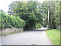 Looking back along Tilford Road towards Hindhead