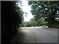 Looking towards the junction of Wood and Tilford Roads