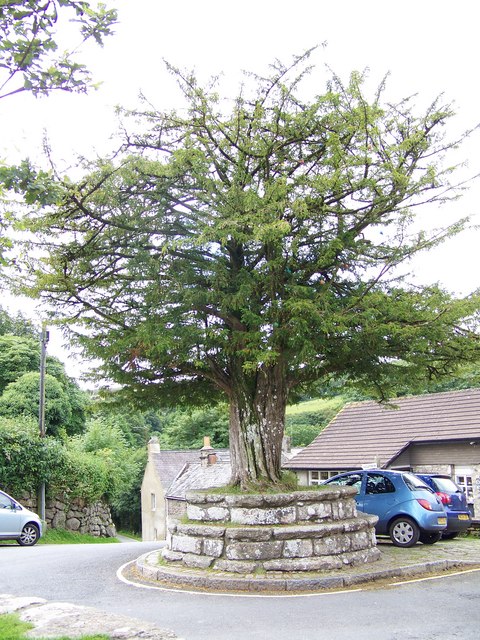Yew Tree, Widecombe-in-the-Moor