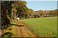 Out for a walk - Shevington Vale