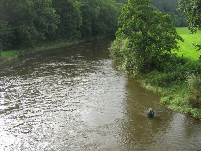 River Taw from Kingford Bridge