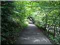 Riverside Path in Linn Park