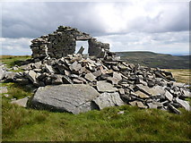 NY8124 : Remains of a building on Mickle Fell by Phil Catterall