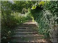 Steps to the Church