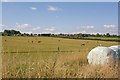 Looking across fields at northern edge of South Wonston