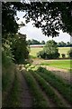 Bridleway approaching South Wonston Farm