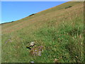 Steep slope on pasture land