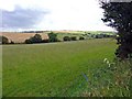 Field and small valley near Llwyncelyn-lan, Clydau