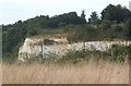 Former quarry face, Claydon