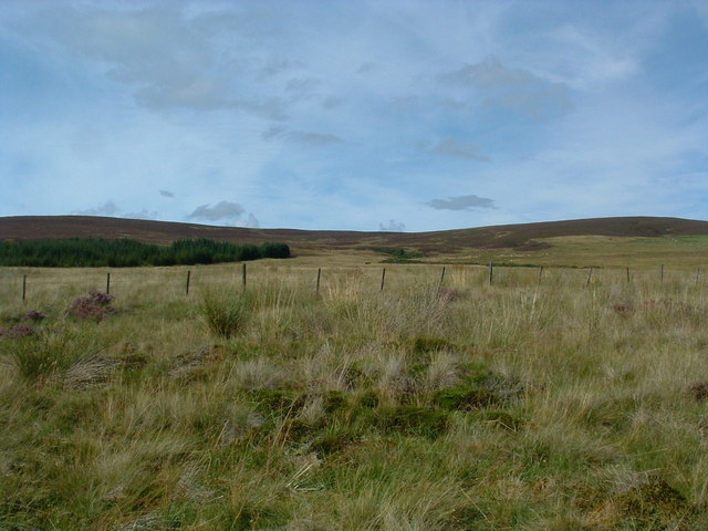 Patterns of moorland land use