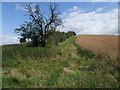 Track up Gibbet Hill