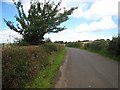 Country road near Thornbrough