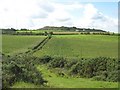 The Anglesey Coastal Path running between two fields of maize at Fargen Wen