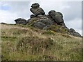 Honeybag Tor