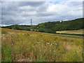 The view across a valley above Hughenden