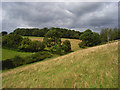 Pasture, Prestwood