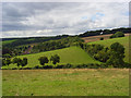 Pasture, Prestwood