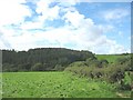 View across pasture land to forested scarp