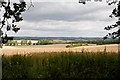 Farmland south of Larkwhistle Farm