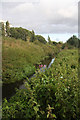 River Lark, Bury St Edmunds