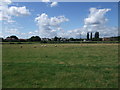 Stoke Bardolph from across the Trent