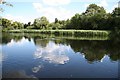 Reedbeds