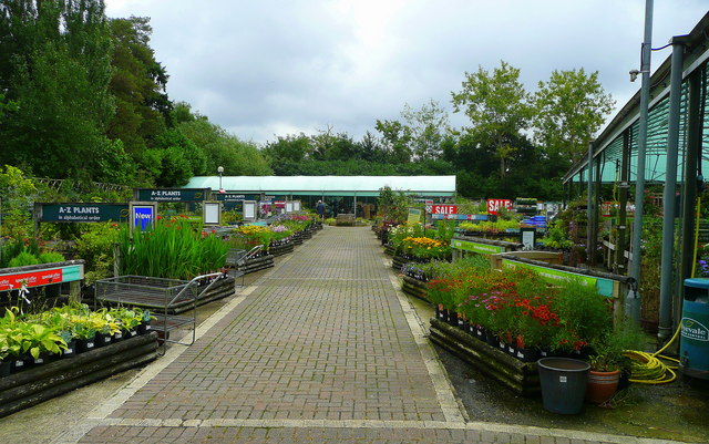 Plant area at Wyevale