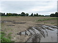 Field next to Hanley Castle