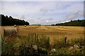 Harvest Scene near Justinhaugh