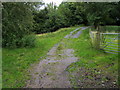 Footpath up to Bryn-Merched