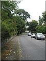 Looking back to Chawton village centre from Northfield Lane