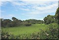 Pasture and woodland behind the beach