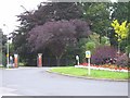 Entrance to Victoria Park, Cardiff