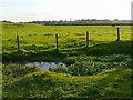 Wire Mire Beck