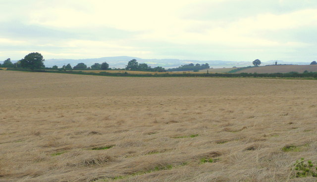 Field of haylage