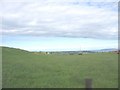 Farm land near Bryn Cogail