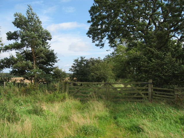 Field gate, near Saltwick,  Northumberland