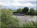 SO8346 : Clevelode - narrowboat on the River Severn by Peter Whatley