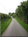 Green Street - Lane to Common Farm