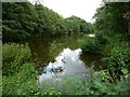 Blacker Dam near Silkstone