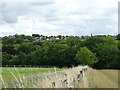 Looking towards Silkstone Common