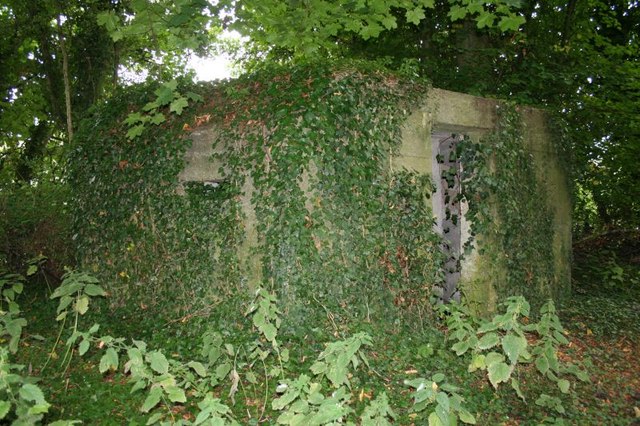 Covered in ivy