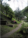 SS7249 : Path leading to Tors Road, Lynmouth by Basher Eyre
