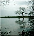 Sykehouse floods