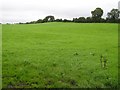 Cultiagh Townland