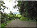 Bend in the road above Nant