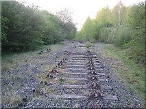 SP7021 : Dismantled railway looking north 1 by Andy Gryce
