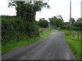 Road at Garvary